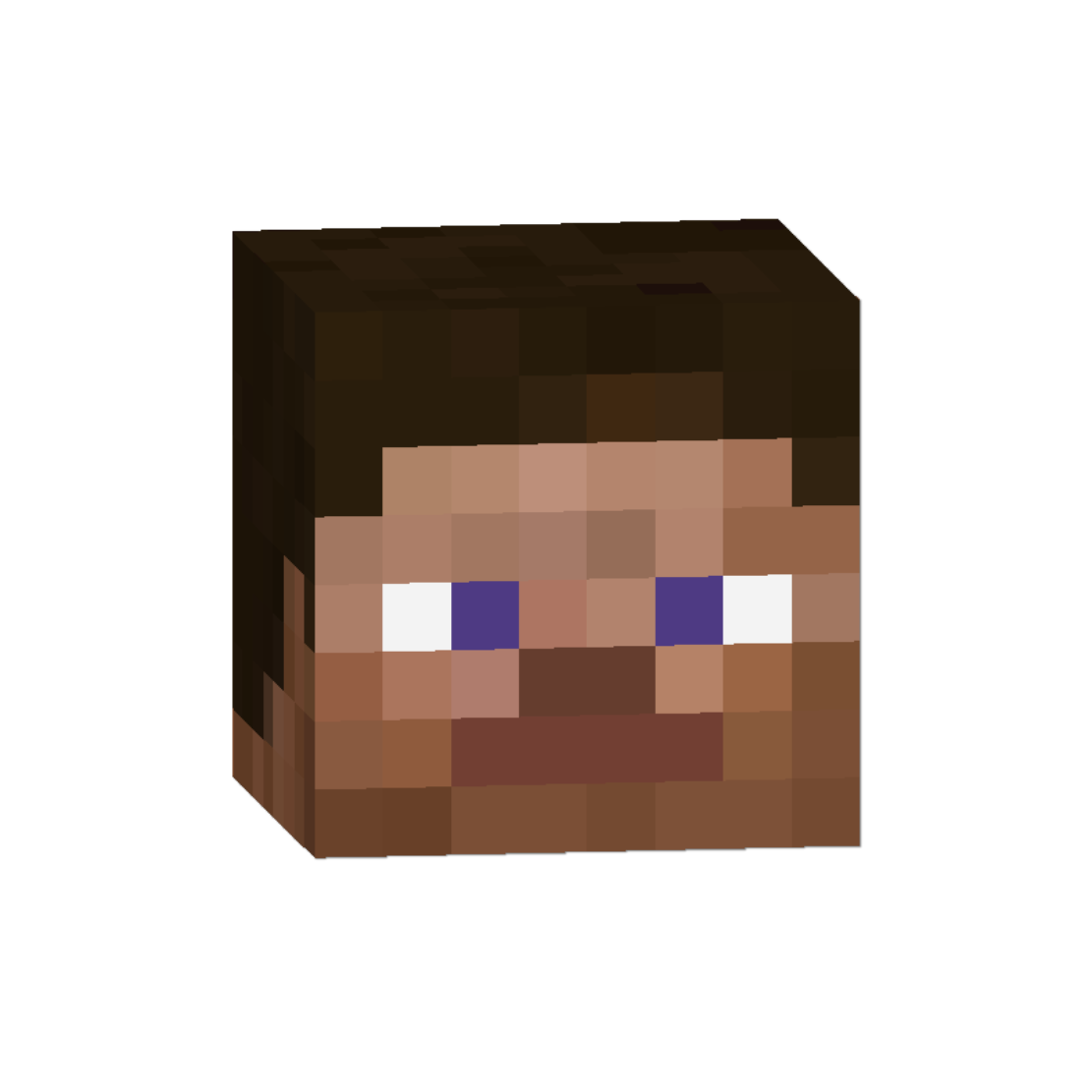 CT Minecraft | سیتی ماینکرفت | admin avatar | آواتار ادمین | سبحان صنوبری